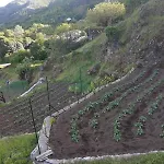 Naj Village