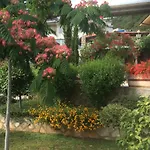 Семейный Комплекс Для Отдыха