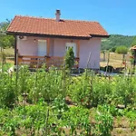 Grahovo House