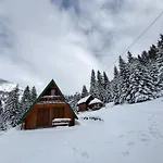 Woodland Cottage