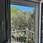 The Olive