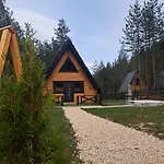 Pine Forest-Black