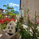 Apartments Visit Perast