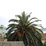 Apartman Zirojevic