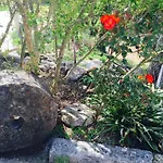 Apartmani Peric