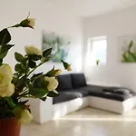 Apartment Begonia Of Kumbor