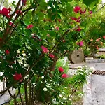 Apartmani Peric
