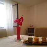 Apartment Kotor-Andrija Jovanovic