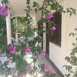 Apartments Bursac