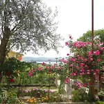 Apartments Vulovic