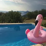 Apartments Radovic