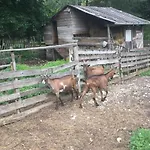 Eco Camp Dzogaska Vrela