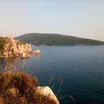 Darinka