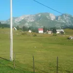 Karadzic