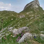 Apartments Durmitor