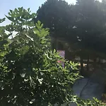 Apartman Danilo