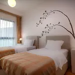 Luxury Budva Center Apartments