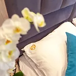 Apartmani Stanisic-Becici