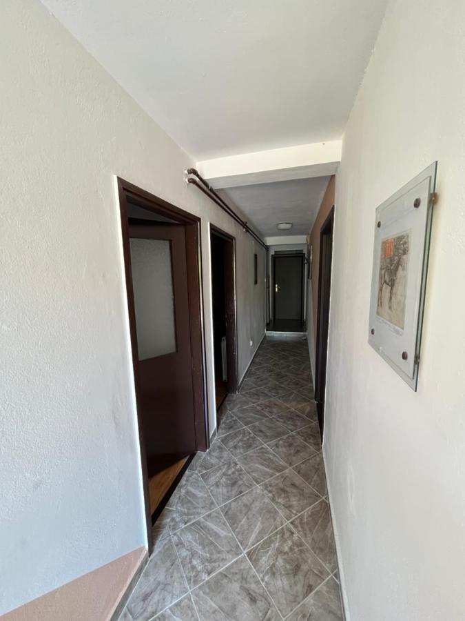 Sobe Mracevic Homestay *