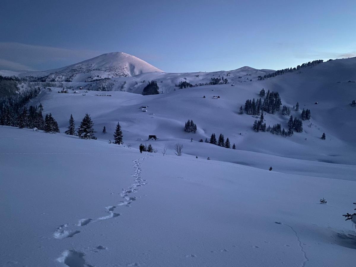 Vikendica Koliba Nisavic Bijelo Polje