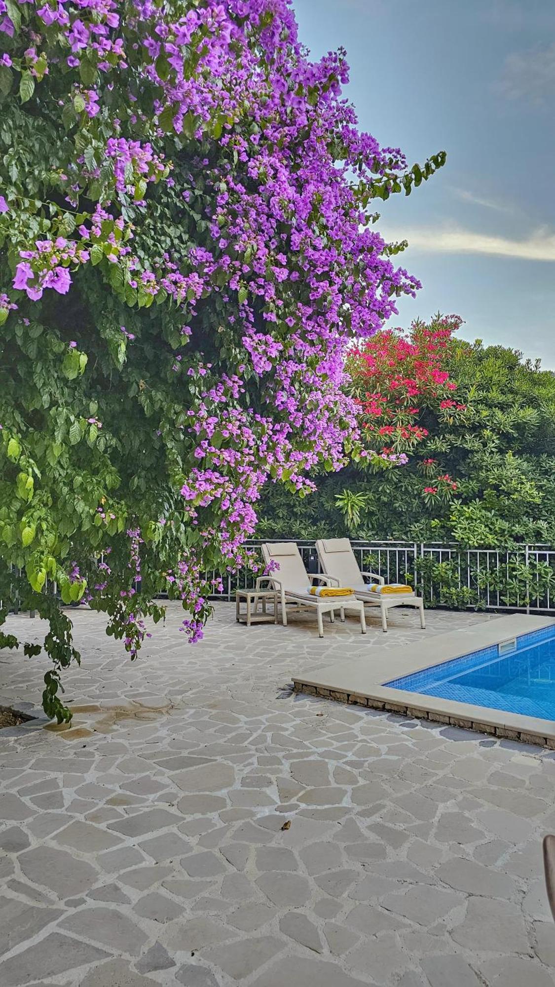 Sazanka With Private Pool 빌라