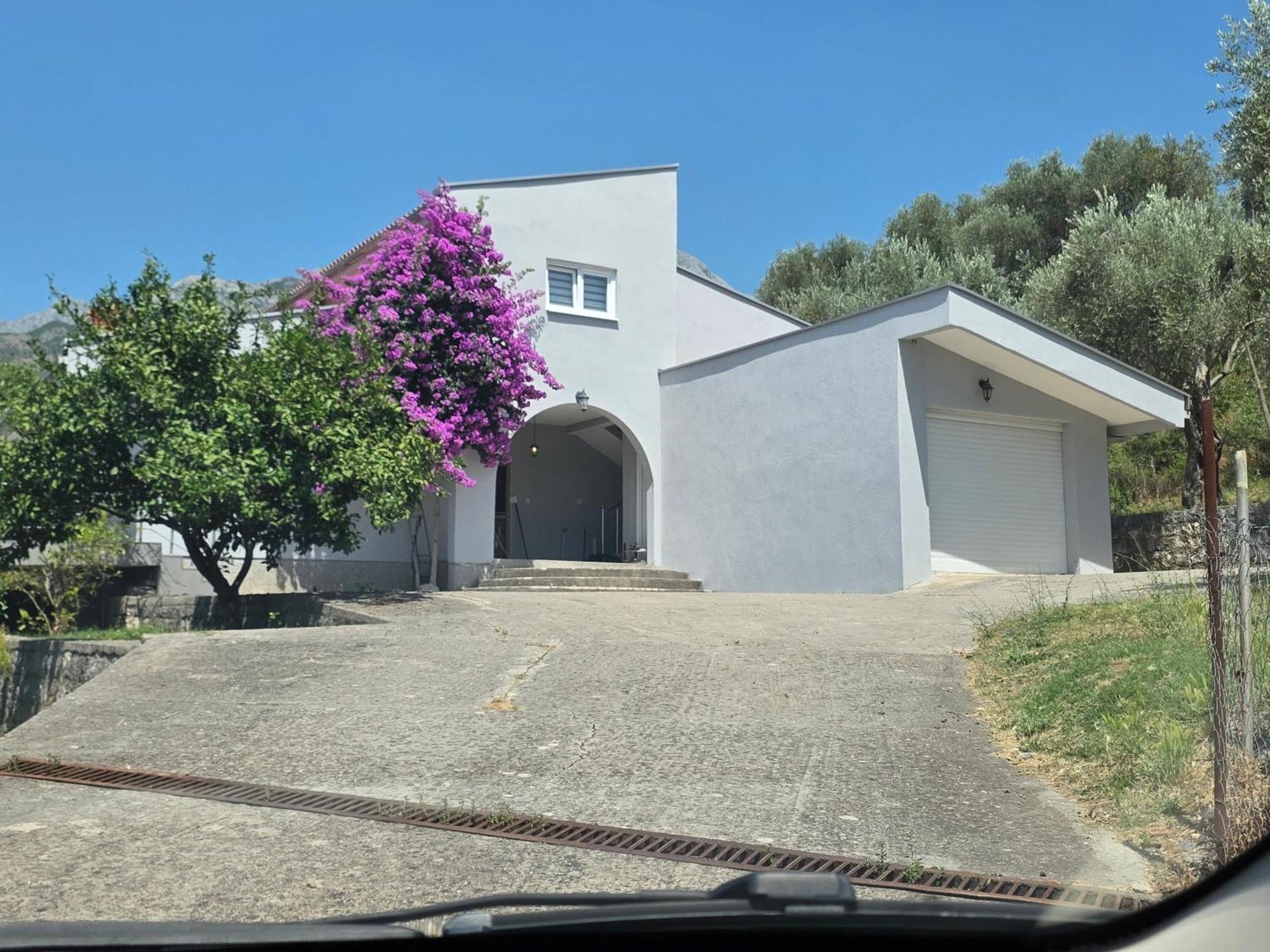 Apartment Family House-vila Mirovica Rap