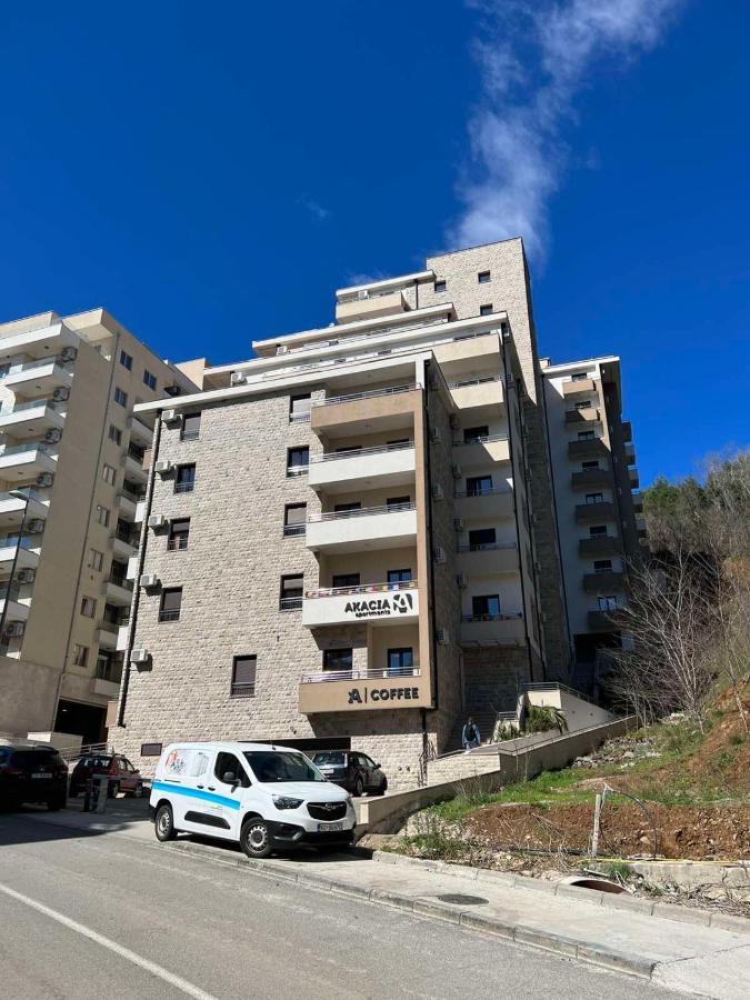 Darko Apartment Becici (Budva)
