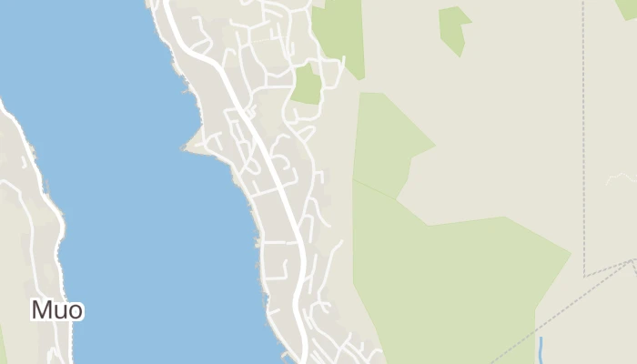 Térkép
